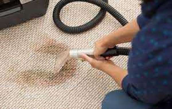 The Role of Professional Carpet Cleaning in Maintaining Home Charm